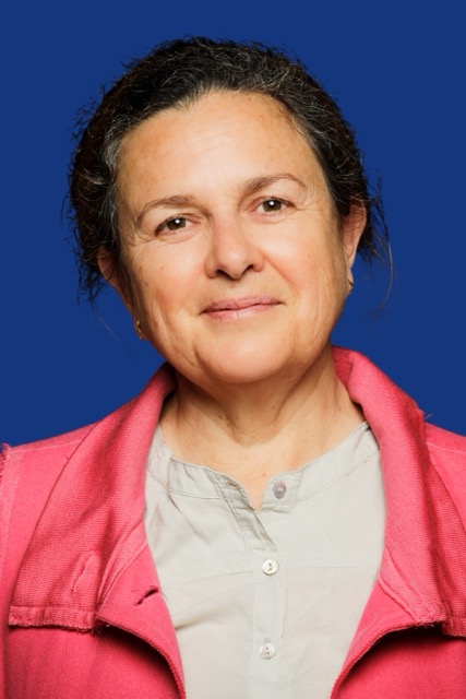 Isabelle Galichon - TEDxTours